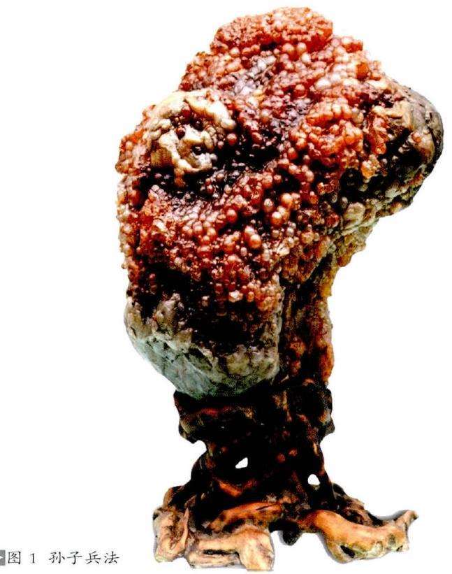 《石说军事》是奇石与军事的联姻 图片3