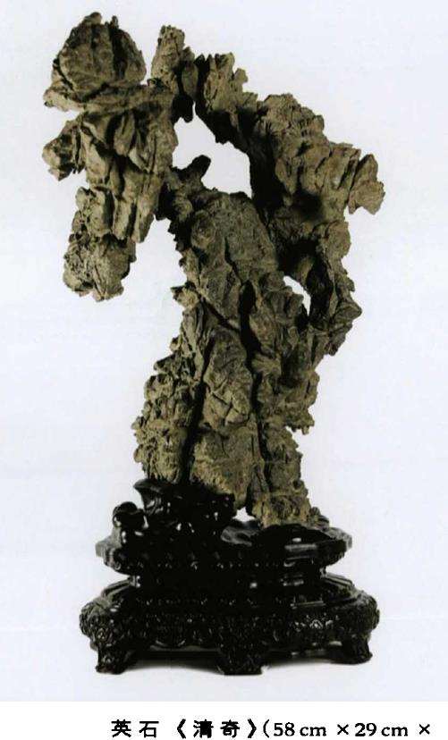 2018 第十九届上海矿物化石展2