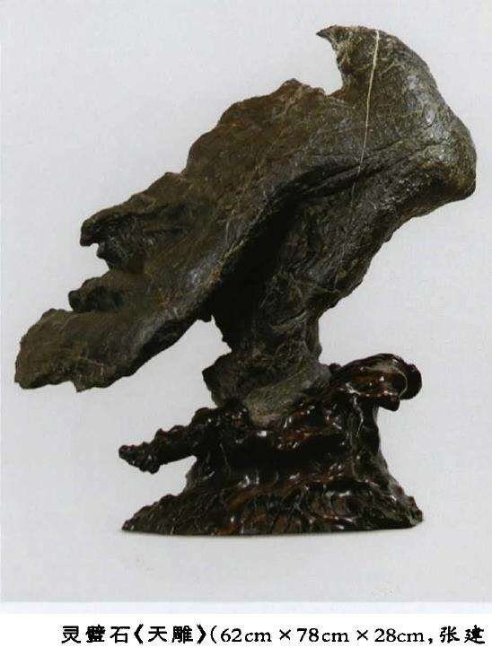 2018 第十九届上海矿物化石展6