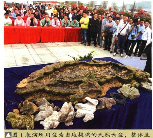 图解 树石盆景《和美图》怎么创作的26个步骤