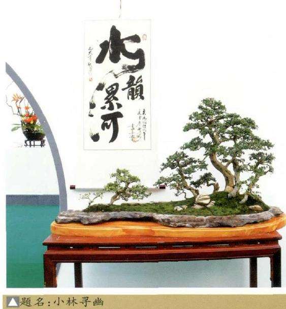 第十九届中州盆景展在鄢陵举办