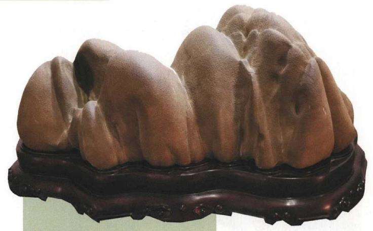 天津玩石人的赏石雅趣受其特殊的地理