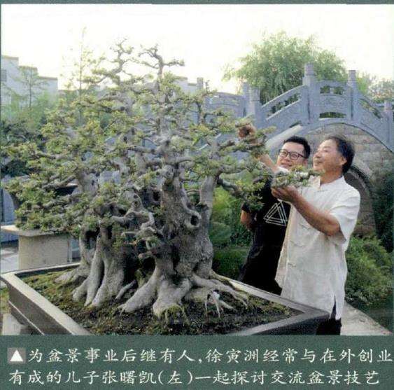 荆州凯宇盆景园 徐寅洲先生 图片