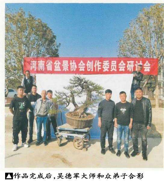 2020 驻马店举办盆景研讨会