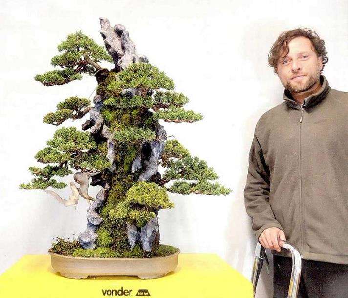 巴西新生代盆景艺术家 Felipe Dallorto