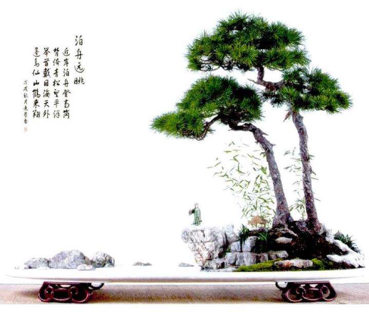 济南市盆景艺术促进会副会长 张延信