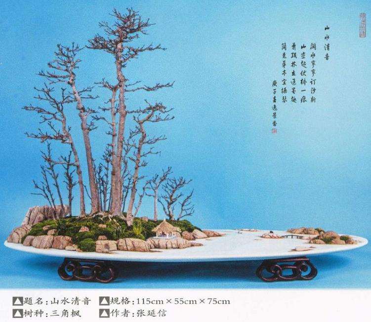 济南市盆景艺术促进会副会长 张延信