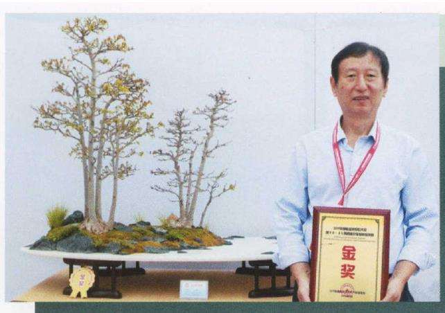 济南市盆景艺术促进会副会长 张延信