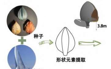 城市绿地的3个概念及更新目的