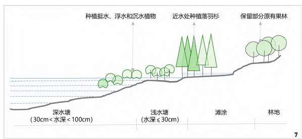 海珠湿地从2014年起开始了为期3年的引鸟项目