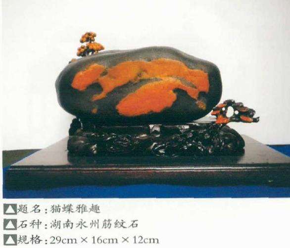 湖南永州潇湘奇石协会副会长