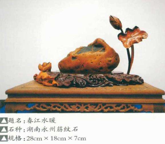 湖南永州潇湘奇石协会副会长 2