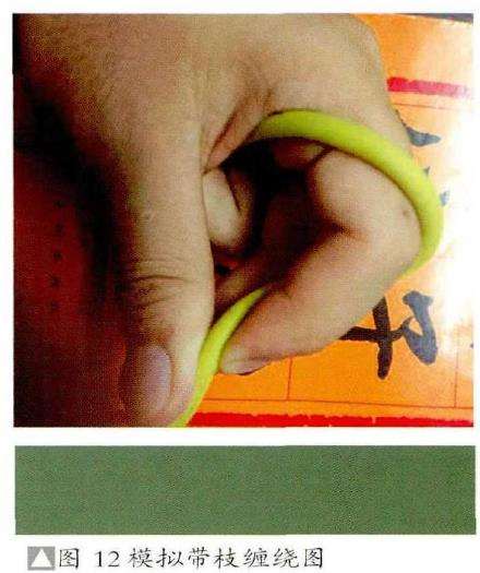 图解 彭盛材盆景怎么快速造型的12个步骤