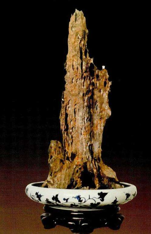 武汉奇石根雕艺术馆副馆长 沈连清2