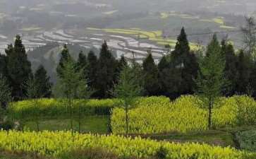 对川渝丘陵地区人居环境营建的3个启示