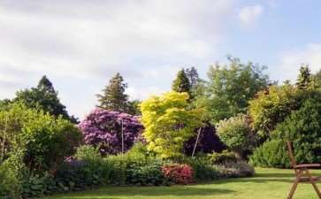 响应新形势的风景园林专业学位教育发展探索