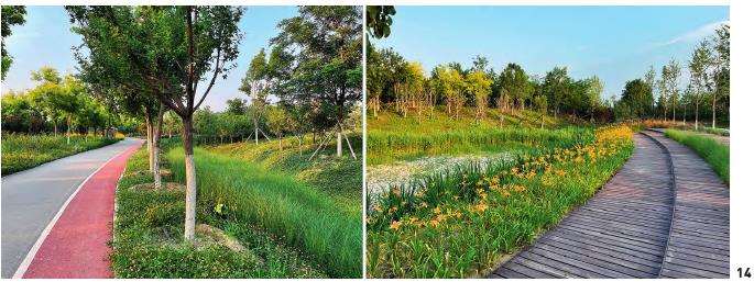 北京南苑饮鹿池公园历史景观视角下内源径流型