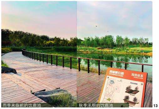 北京南苑饮鹿池公园历史景观视角下内源径流型