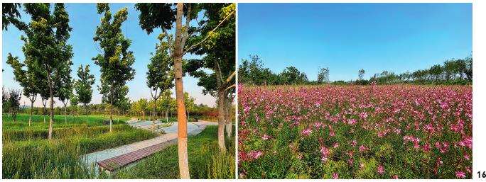 北京南苑饮鹿池公园历史景观视角下内源径流型