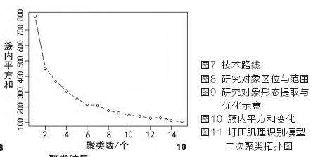 固城湖圩田肌理识别与量化解析