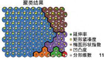 固城湖圩田肌理识别与量化解析