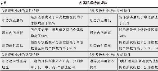 固城湖圩田肌理识别与量化解析