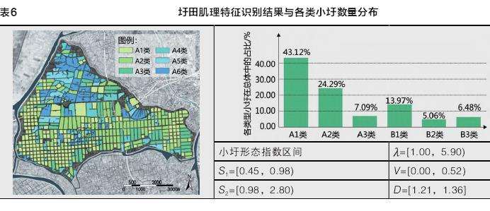 固城湖圩田肌理识别与量化解析