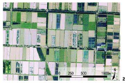 固城湖圩田景观肌理的研究视野与趋势