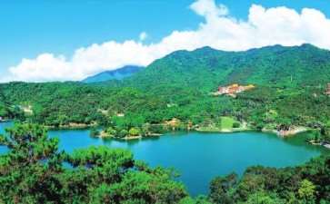 80年代的深圳市仙湖植物园