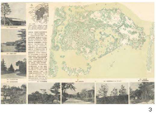 50年代的杭州花港观鱼公园