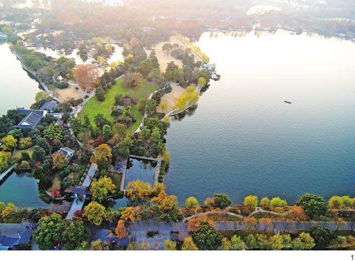 40年代的浙江大学农学院园艺场