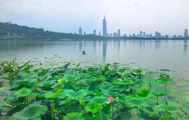 公共绿地的3个疫情防控与日常复苏