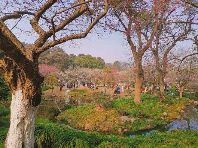 杭州植物园未来发展的5个思路