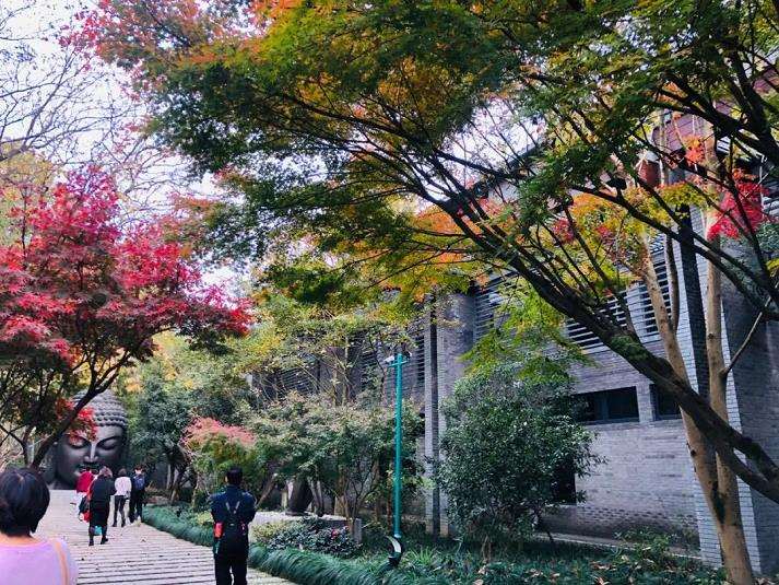国家植物园助力生物多样性保护的途径与方法