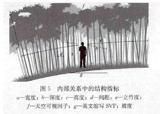 竹林康养空间结构体系怎么构建的3个方法