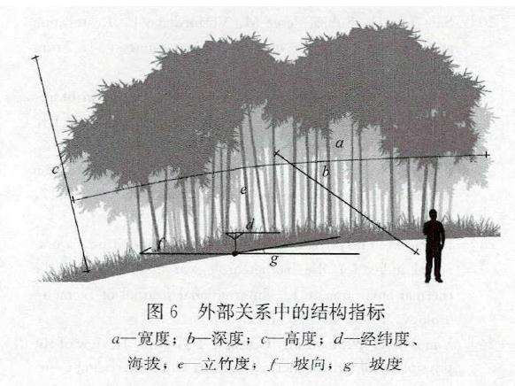 竹林康养空间结构体系怎么构建的3个方法