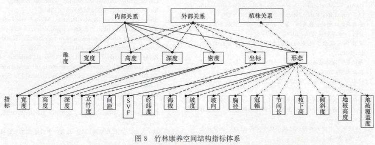 竹林康养空间结构体系怎么构建的3个方法