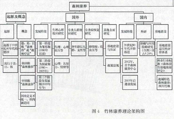 竹林康养空间的4个植物景观与人体适应性