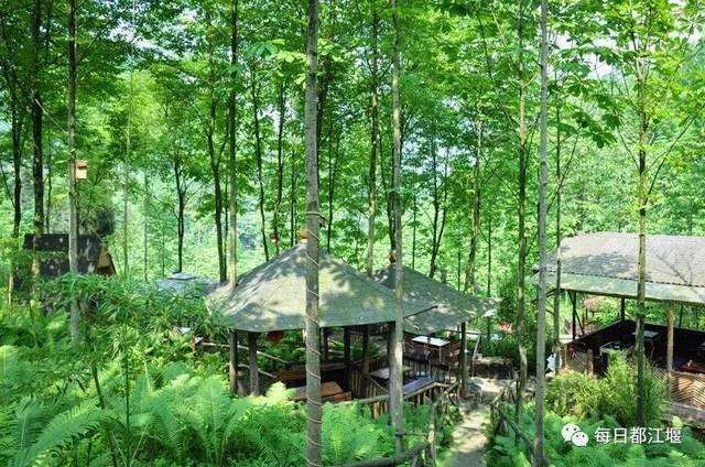 竹林康养空间的4个植物景观与人体适应性