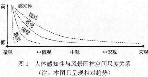 竹林植物景观空间与康养效益的2个价值