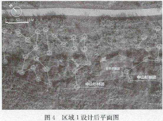 三峡水库2个典型区域植物景观设计