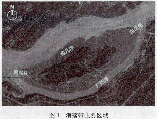 基于自然特征的三峡水库江心岛消落带植物景观设计