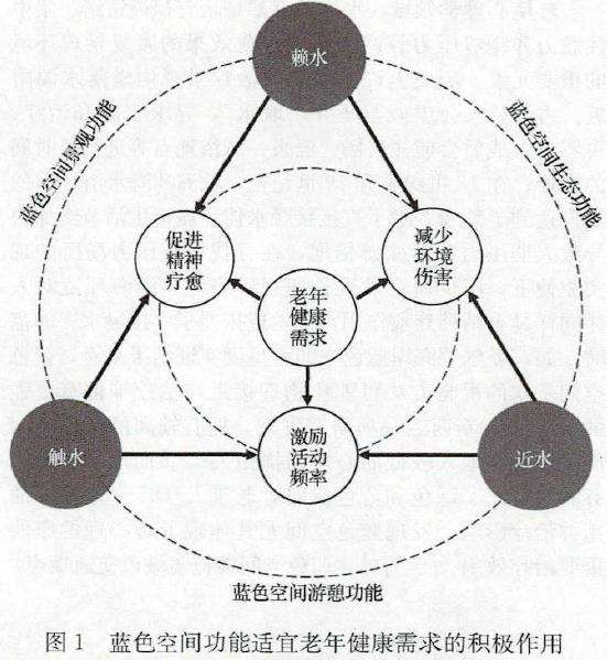 蓝色空间功能适应老年健康需求的行为特点