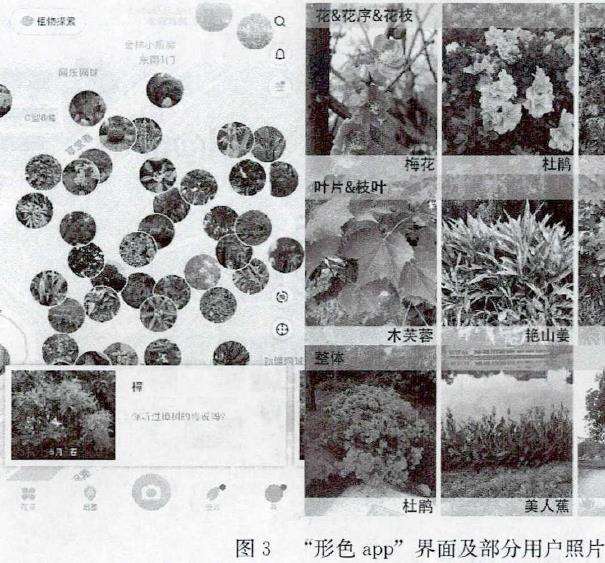 市民使用app识别的植物多样性及景观偏好研究