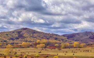 木兰围场发展与秋称文化的3个影响