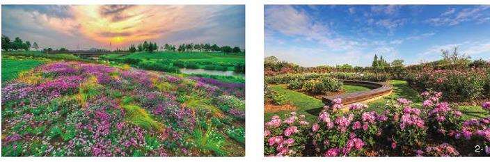 上海辰山植物园提升城市植物多样性的3个探索