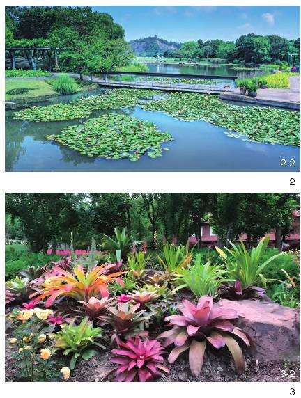 上海辰山植物园提升城市植物多样性的3个探索