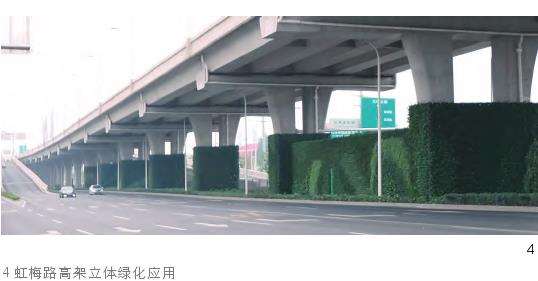 上海辰山植物园提升城市植物多样性的3个探索