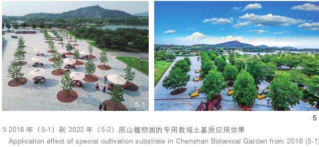 上海辰山植物园提升城市植物多样性的3个探索