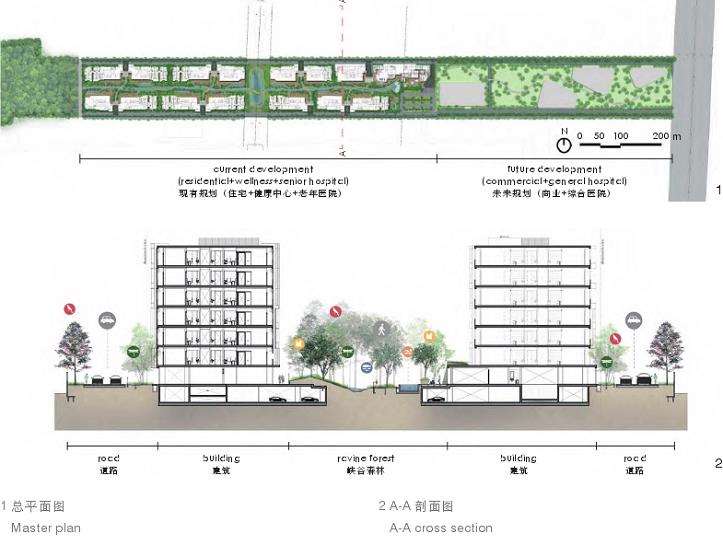峡谷森林中的3个多代共生社区
